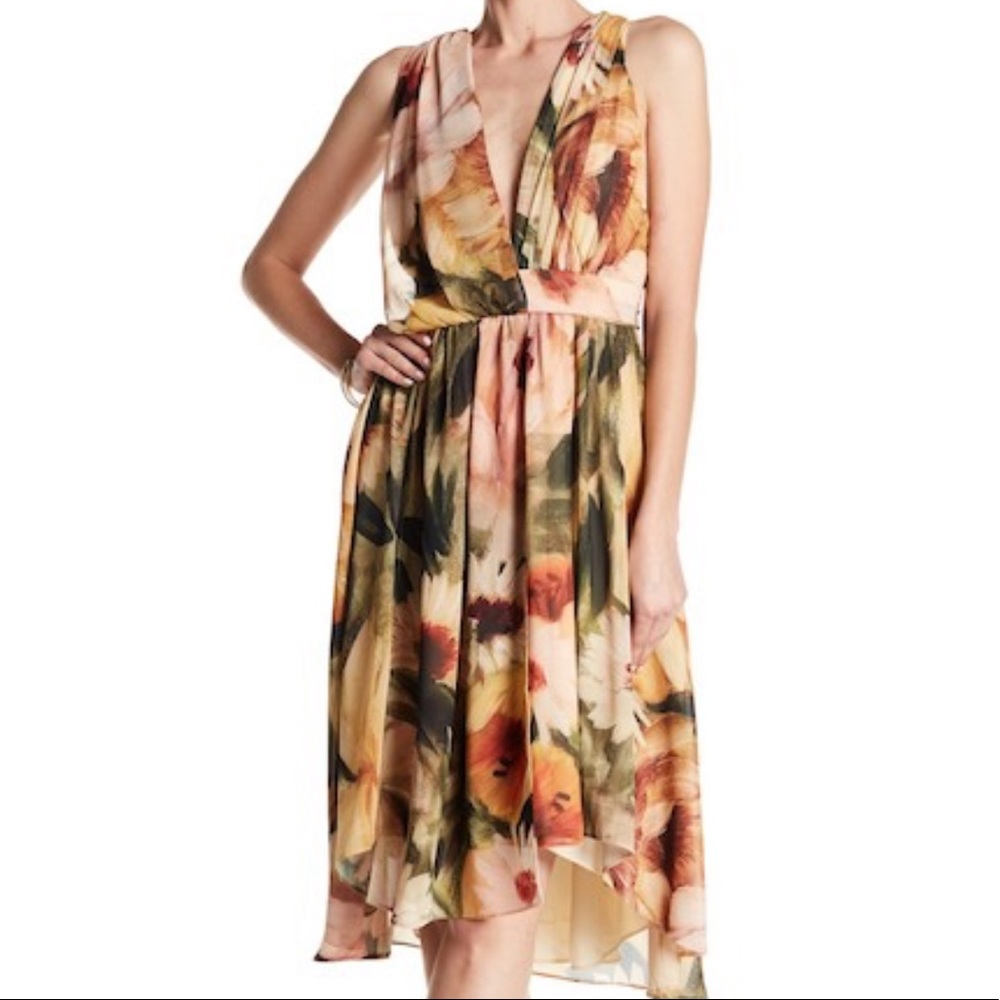 ⬇️⬇️ Haute Hippie Go Print Dress